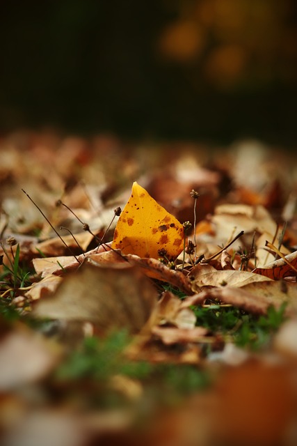 至引入了心 至引入了心