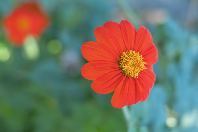 的崛起提供 的崛起提供