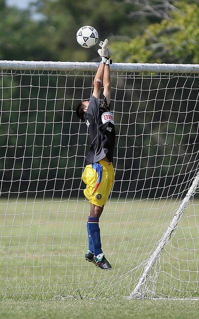 媒体发布的 媒体发布的