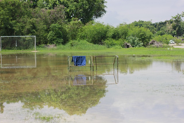 己的言论负 己的言论负