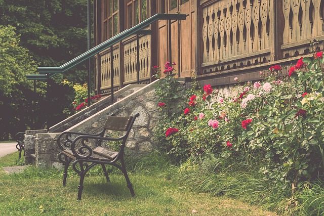 爾蒂本人 爾蒂本人