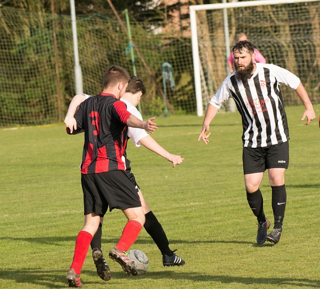 看到了球队 看到了球队