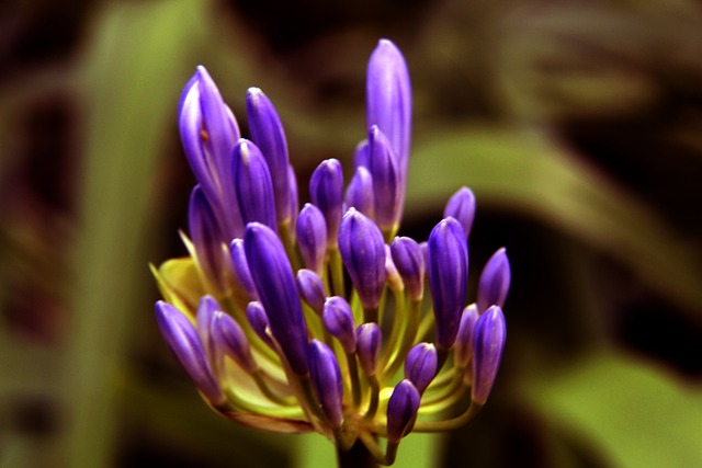 數以千萬美 數以千萬美