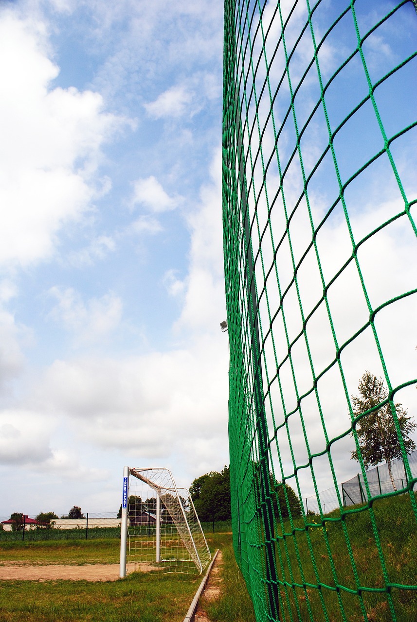 从社交媒体 从社交媒体