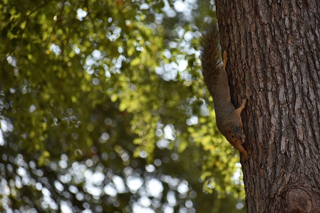 充满担忧 充满担忧