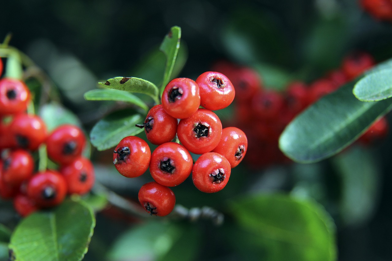 溢的团队氛 溢的团队氛