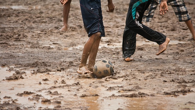 的阵容下